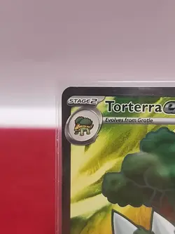 Torterra EX 185/162 Temporal Forces NM ALT ART HOLO RARE POKEMON TCG CARD EN - Image 4