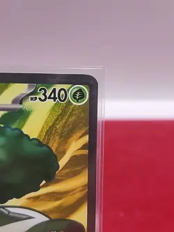 Torterra EX 185/162 Temporal Forces NM ALT ART HOLO RARE POKEMON TCG CARD EN - Image 5