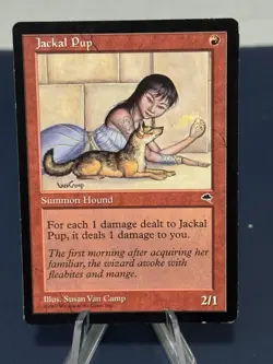 MTG - Magic The Gathering - Jackal Pup - Tempest - LP/EX! - Image 1