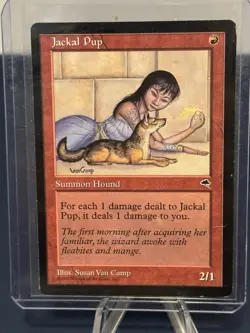 MTG - Magic The Gathering - Jackal Pup - Tempest - LP/EX! - Image 3