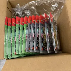 Pokemon Mega Evolution Ascended Heroes 2-Pack Blister 12ct - in hand - Image 2