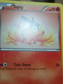 HP Tepig Black & White 16/114 Pokemon Card - Image 3