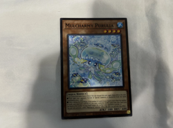 MULCHARMY PURULIA NEAR MINT HAND TRAP MAXX "C" LEGAL ALTERNATIVE META CARD YGO! - Image 1