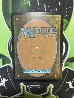 Multiversal Passage R Non-Foil Borderless Spider-Man MTG NM - Image 2