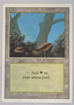 10 x Forest Land - MTG Revised - Magic the Gathering - Image 1