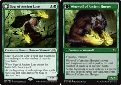 MTG - Sage of Ancient Lore // Werewolf of Ancient Hunger - Shadows Over Innistra - Image 1