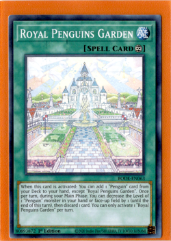 3x Royal Penguins Garden | BODE-EN063 | Yu-Gi-Oh! TCG - Image 1