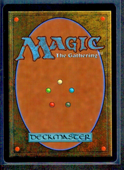 MTG MAGIC FINAL FANTASY | Aerith Gainsborough | Extended Art 0423 | NM - Image 2
