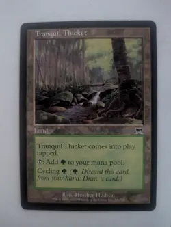 Tranquil Thicket (326/350) – Onslaught – LP – Magic the Gathering MTG - Image 1
