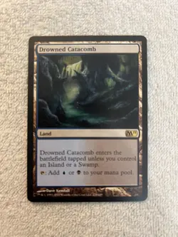 Magic - Drowned Catacomb #224 - M11 - Land - LP - Shinetized - Image 1