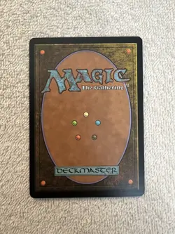 Magic - Drowned Catacomb #224 - M11 - Land - LP - Shinetized - Image 2