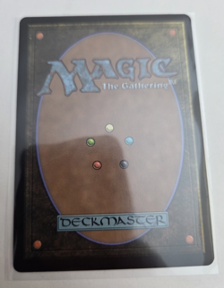 MTG, The Cabbage Merchant Avatar: The Last Airbender: Eternal-Legal Foil NM - Image 2