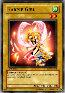 Yu-Gi-Oh! TCG 1st Edition Harpie Girl Card RDS-EN004 - Image 1