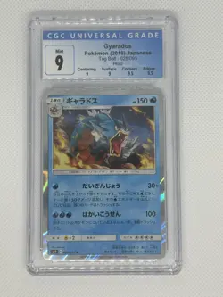 Pokemon TCG SLAB BUNDLE Charizard Blastoise Gyarados Tag Bolt sm9 Japanese CGC 9 - Image 4