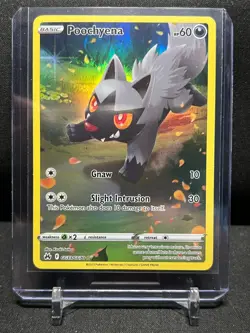 Poochyena GG33/GG70 Galarian Gallery Holo Rare Pokemon 2023 Crown Zenith NM - Image 1