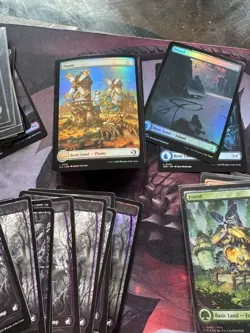 Magic The Gathering (MTG) Lot Of Full Art Lands - Over 170 - Image 4