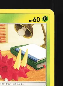 Wurmple 24/214 LP Lost Thunder English Pokemon Card TCG - Image 5