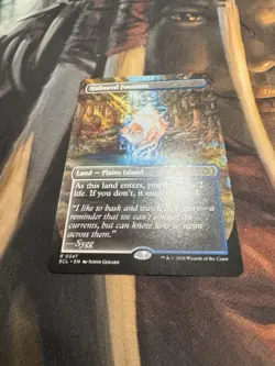 Hallowed Fountain (Borderless) Lorwyn Eclipsed Regular - Image 4