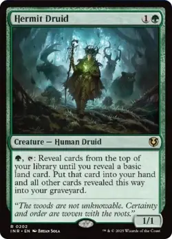 MTG Foil - Hermit Druid - 202 / NM / English - Image 1
