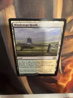 Windswept Heath Modern Horizons 3 Regular - Image 4