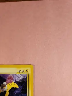 2000 Raikou 22/64 Neo Revelation Non-Holo Regular Rare Pokemon - Image 3