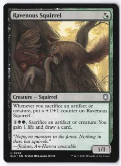 Ravenous Squirrel U Commander: Bloomburrow 258 NM - Image 1