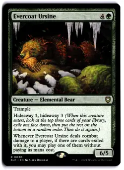 Evercoat Ursine NM BLC Commander: Bloomburrow MTG - Image 1