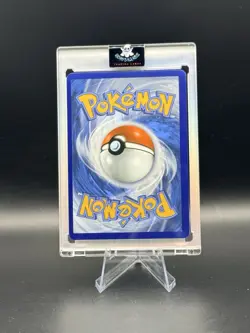 Fan Made Custom Display Card Ninja Squirtles GX Charizard Canyon Chase - Image 2