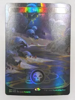 Swamp (237) (Borderless) Unfinity Foil - MTG - Image 1
