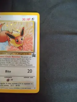 Pokemon TCG Eevee - Holofoil #11 WOTC 2000 Black Star Promo holo - Image 5