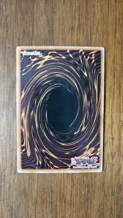 Red-Eyes Black Dragon - Ultra Rare - SDJ-001 - SD: Joey - Yu-Gi-Oh! - LP - Image 2