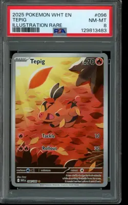 PSA 8 NM-MT Pokemon Tepig White Flare Illustration Rare 096/086 - Image 1
