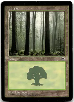 MTG Forest (Ferns on Ground) L Portal HP - Image 1