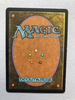 Mtg Carte Magic Lorwyn Wort Boggart Auntie French HP - Image 2