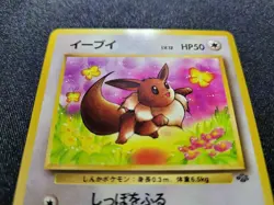 Pokemon Card Eevee 1997 Japanese Jungle Set - Image 4