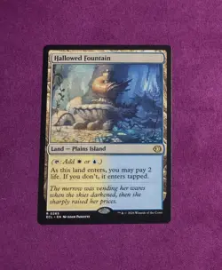 Hallowed Fountain Lorwyn Eclipsed Regular NM Magic The Gathering - Image 1