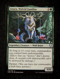 MTG ANARA WOLVID FAMILIAR Commander Legends - Image 1