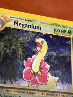 Pokemon TCG Meganium Neo Genesis Holo Rare Card #11/111 LP/Excellent Condition - Image 2