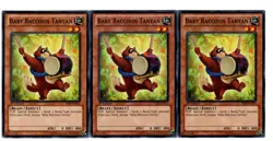 Yugioh- 3X Baby Raccoon Tantan - Common - 1st Edition - SHSP-EN015 - Near Mint - Image 1