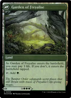 Disciple of Freyalise Foil Modern Horizons 3 250 NM MTG - Image 2