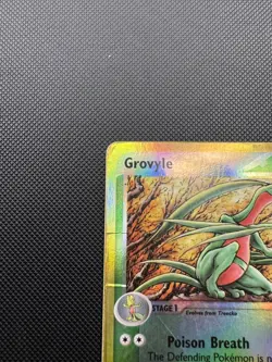 Pokemon TCG - Grovyle #31/109 Ruby and Sapphire - Reverse Holo- English - DMG - Image 2