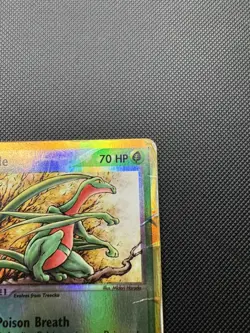 Pokemon TCG - Grovyle #31/109 Ruby and Sapphire - Reverse Holo- English - DMG - Image 3