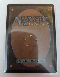 MTG, Tiamat (Borderless)-Adventures in the Forgotten Realms Regular NM - Image 2