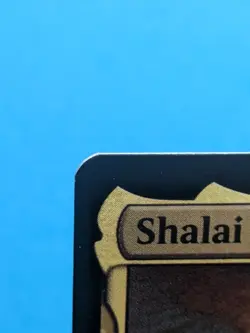 Shalai and Hallar #10 (Foil) (NM) March of the Machine MOC Magic MTG - Image 3