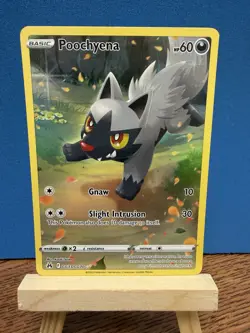 Pokemon TCG Poochyena GG33/GG70 Crown Zenith Galarian Gallery Holo Card - Image 1