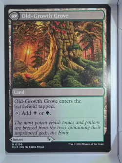 Revitalizing Repast - U256 - MTG - Modern Horizons 3 (MH3) - Image 2