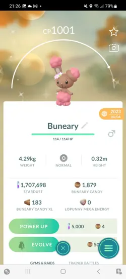 Pokemon Go Shiny Buneary Flower Crown - Image 1