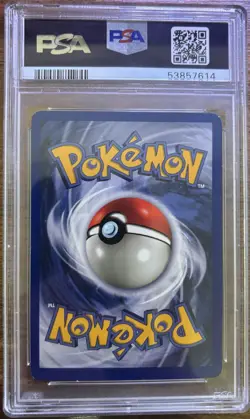 PSA 8 Squirtle 63/102 Base Set 1999 WOTC Pokemon Card TCG - Image 2