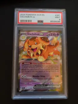 2024 Pokemon SCR En Dachsbun ex 067/142 Sv07: Stellar Crown Holo Psa 9 - Image 1