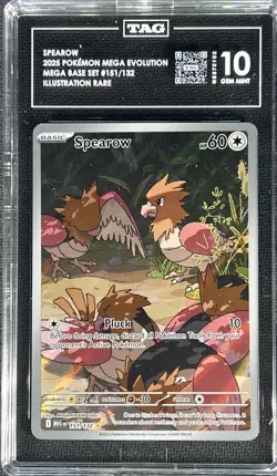 2025 Pokemon Mega Evolutions ** SPEAROW ** #151/132 Illustration Rare 💎TAG 10💎 - Image 1